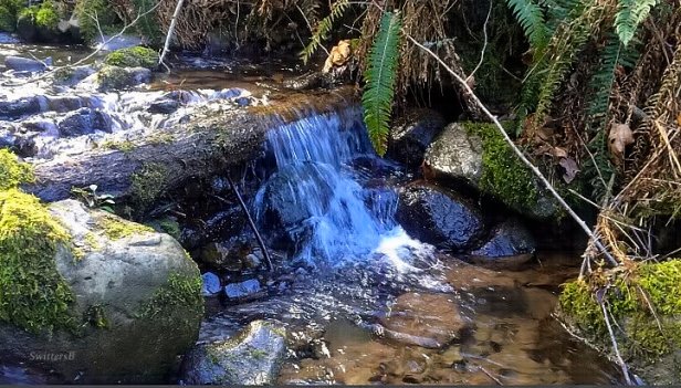 photography-nature-brook-woods-Cascades-SwittersB