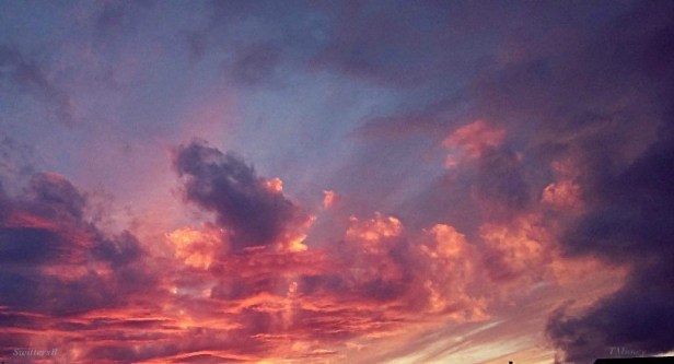 Photography-Red Sky-Sunset--Oregon-TMuncy-SwittersB