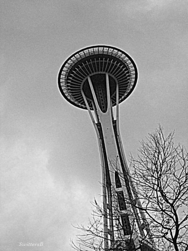 photography-space needle 1-seattle-SwittersB