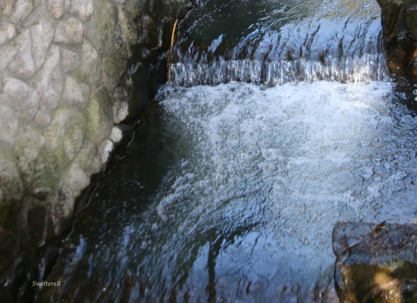 Photography-stream-water-fish ladder-SwittersB