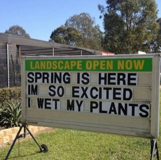 wet plants