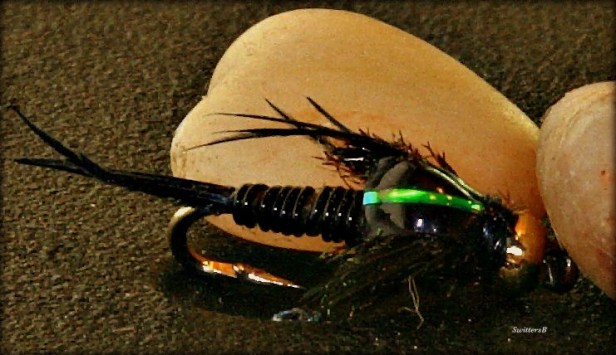 photography-black nymph-fly tying-SwittersB
