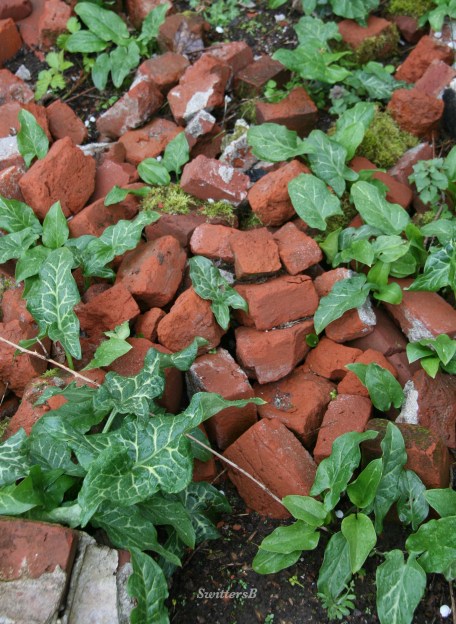 Photography-Bricks-SwittersB