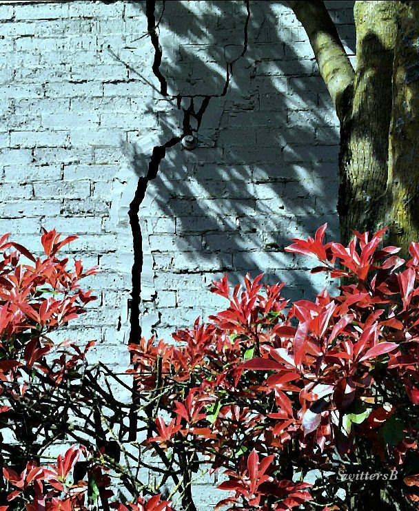 photography-cracked wall-Portland-SwittersB