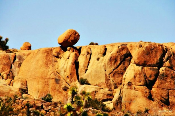 photography-Joshua Tree-balanced rock-geology-nature-SwittersB