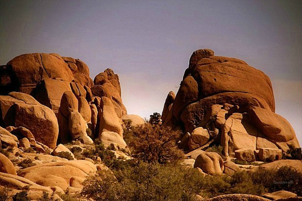 Photography-Joshua Tree-Rock formations-Mojave Desert-SwittersB