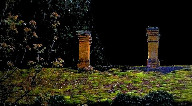 photography-moonlight-mossy roof-Switters