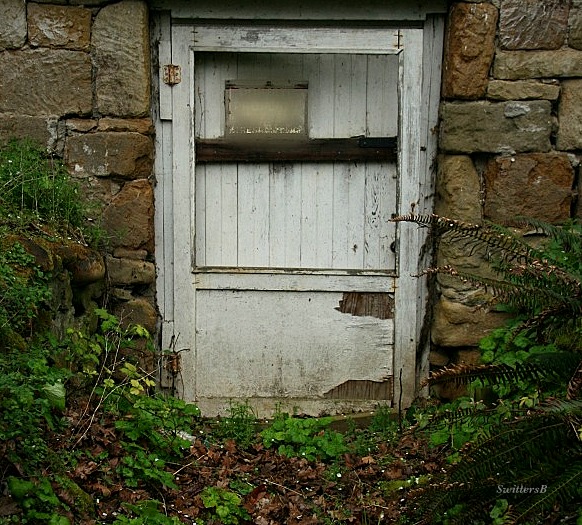 Photography-Old Cellar-Back Door-Mysterious-SwittersB