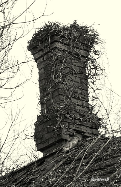 photography-old chimney-brick-topple-SwittersB