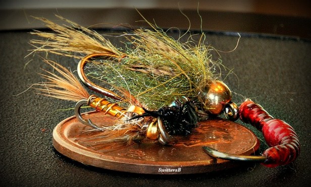 photography-scale-fly patterns-penny-SwittersB