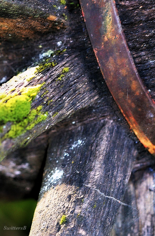 photography-spokes-hub-wheel-SwittersB