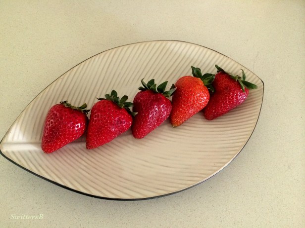 photography--strawberries-SwittersB