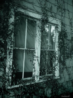 photography-SwittersB-old windows-farm house-Oregon