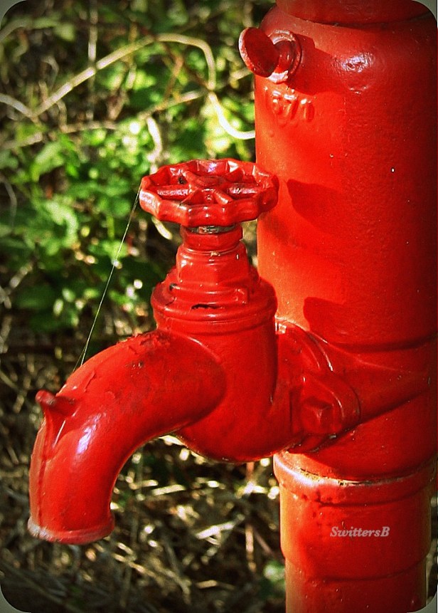 photography-water pump-swittersb