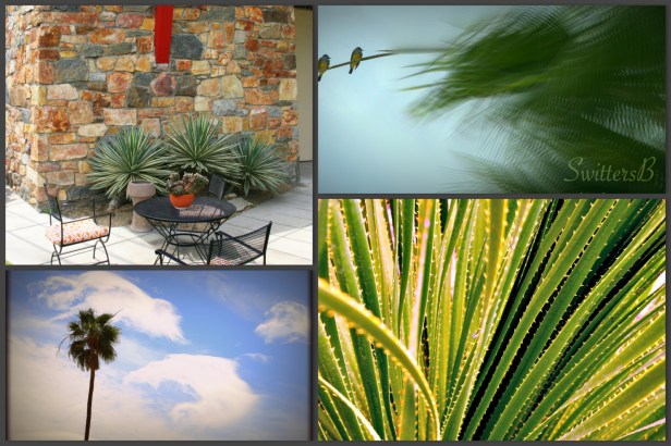 PS Collage SwittersB