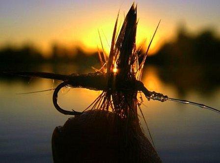 Adams Fairiview_010AAx