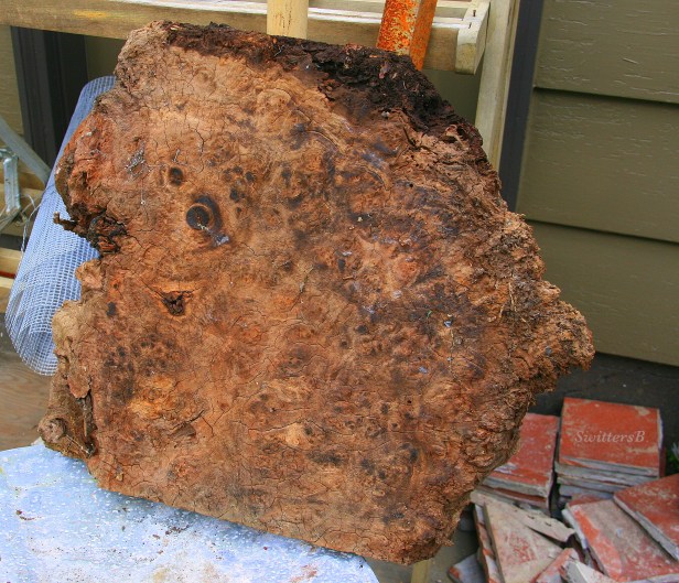 Chunk of wood, photography, SwittersB