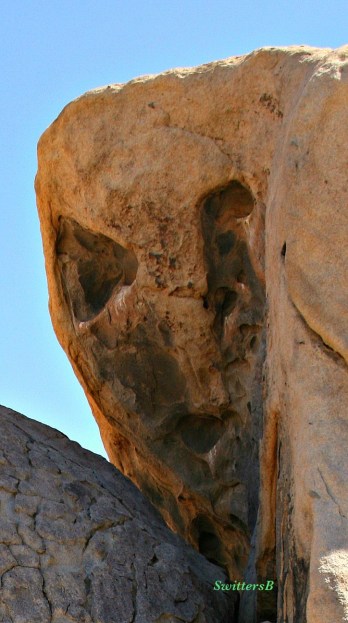 photography-alien rock-Joshua Tree-SwittersB