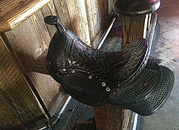 photography-barstool-saddle-tavern-SwittersB