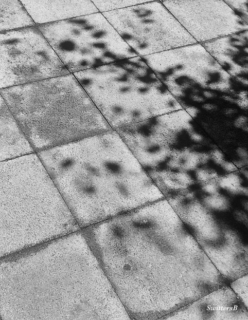 photography-brain fog-memories-shadows-SwittersB