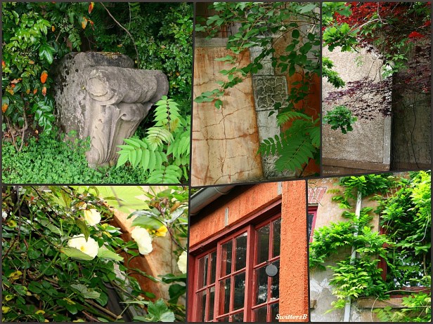 Photography-Holgate Cottage-SwittersB-Garden-Design