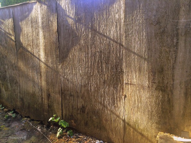 photography-old fence-wood grain-SwittersB