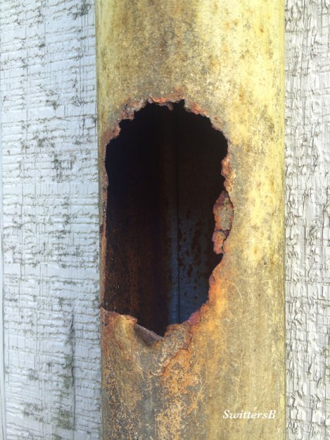 photography-old pipe-hole-rust-SwittersB