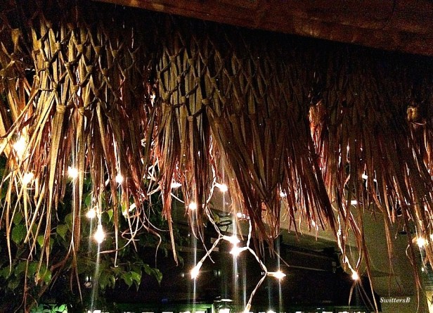 photography-palapa-lights-Mexico-festive-SwittersB