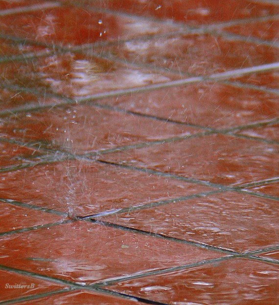 photography-rain drops-tile floor-dancing-SwittersB