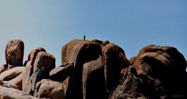 photography-rock climbing-Joshua Tree-Scale-SwittersB