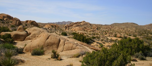 photography-rock formations-desert-Joshua Tree- SwittersB