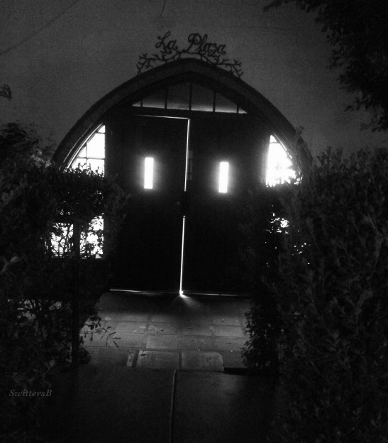 photography-SwittersB-Black & White-