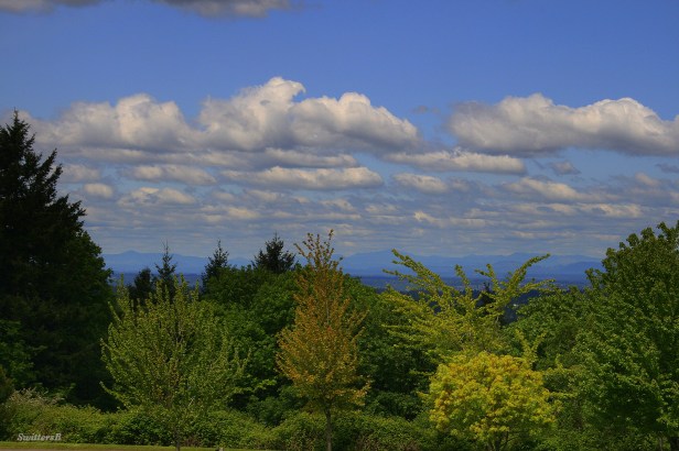 photography-SwittersB-clouds-green trees