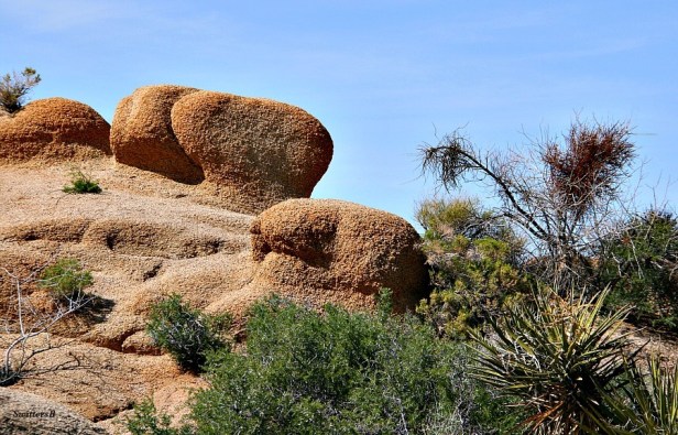 photography-SwittersB-desert-rock formations-Joshua Tree