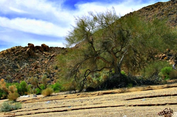 photography-wash-SwittersB-Mojave Desert