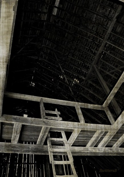 Barn--ladder-holes-photography-SwittersB