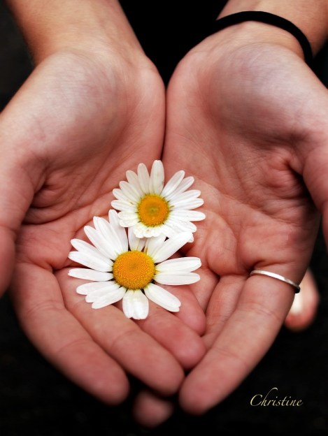 Christine-Perfectamity-Flowers-Hands