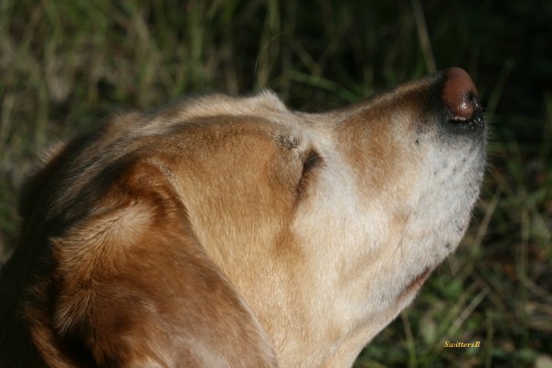 Emma, The Sweet, SwittersB