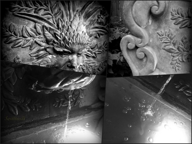 fountain head--photography-SwittersB