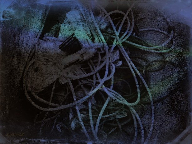 jumble-tangled-SwittersB-Art