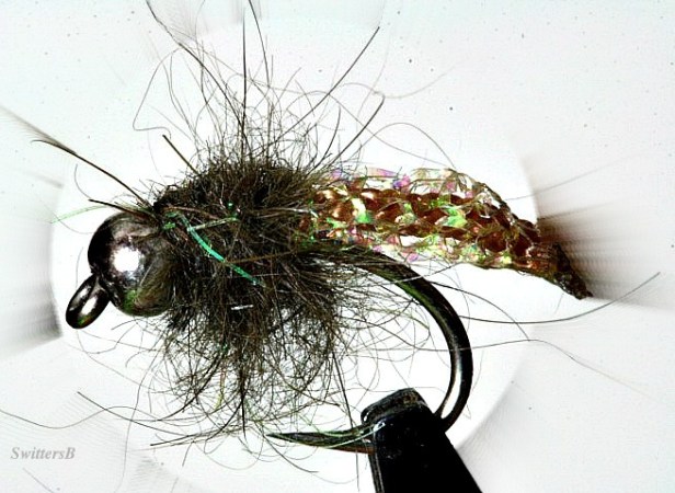 macro-photography-caddis pupa pattern-fly fishing-fly tying-SwittersB
