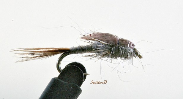 nymph-callibaetis-fly tying-fly fishing-macro photography-SwittersB
