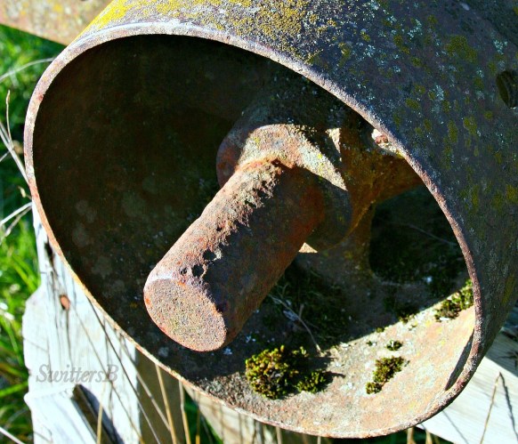 Photography-Farm-Old-Rust-Machinery-SwittersB