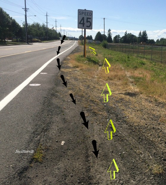 photography-intersecting-accident-life