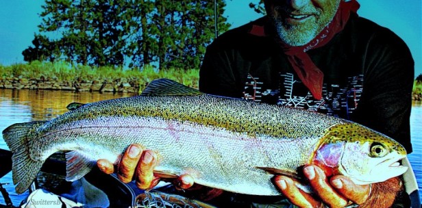 Rainbow Trout-SwittersB-Photography-Outdoors-Fly Fishing