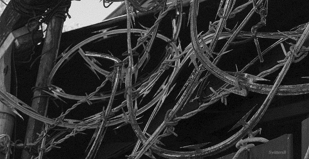 razor wire-barbed wire-photography-security-SwittersB