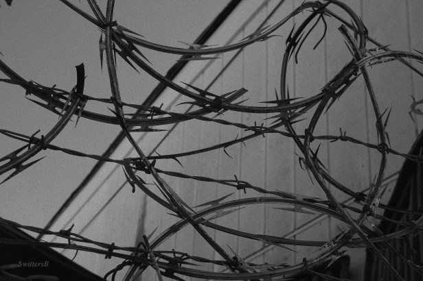 razor wire-barbed wire-photography-SwittersB