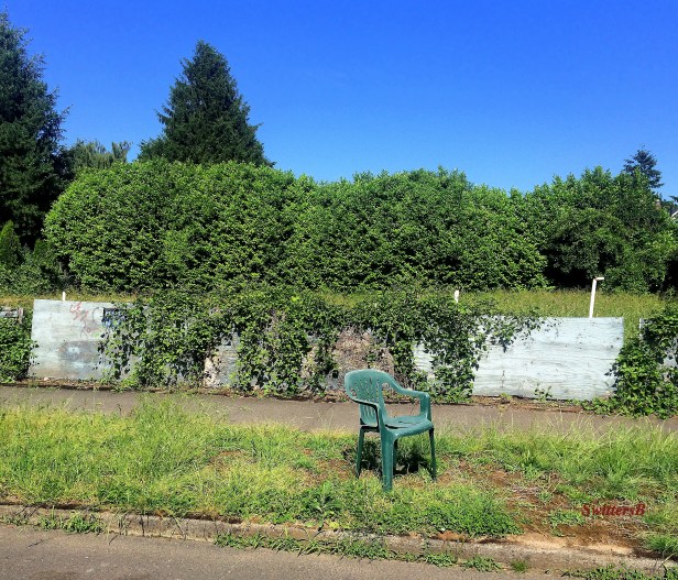 rest stop-photography-chair-curbing-Portland-SwittersB