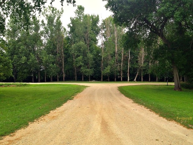 rural road-quiet-dirt road-farming-SwittersB