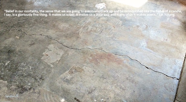 b garage-floor-cracked-cement-photography-SwittersB